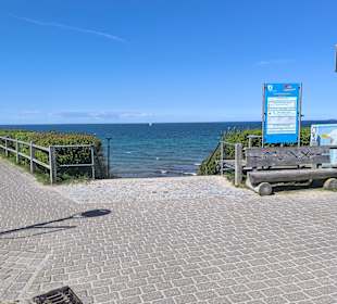 Ausblick