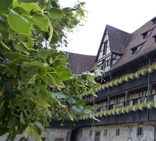 Langbau und "Gerichtslinde"