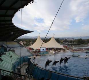 Marineland