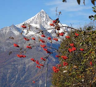 Wandern Grächen