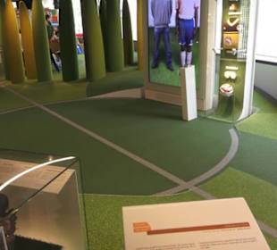 FIFA World Football Museum