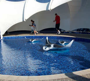 Palma Aquarium
