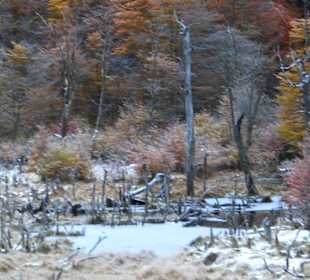 Parque Nacional Tierra del Fuego