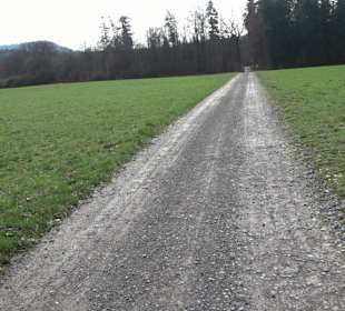 Gomaringer Rundweg - Zu den Giganten im Wald