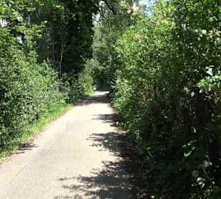 HAP Grieshaber Rundweg