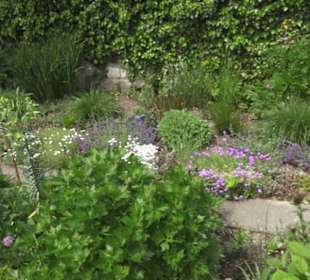 Benediktinerkloster Lorch