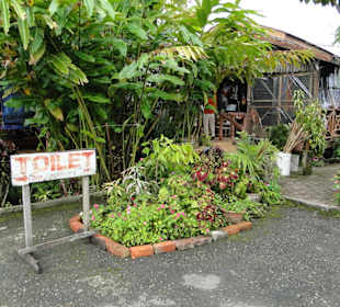 Wildlife Expeditions