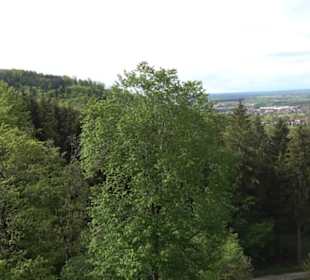 Wallfahrtskirche Mariazell Boll
