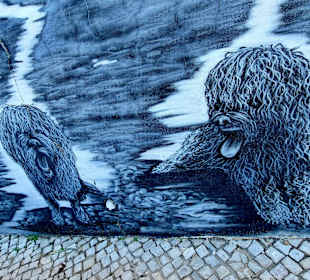 Stadtrundgang Olhão rund um den Yachthafen