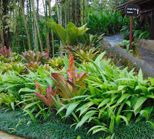 La Paz Waterfall Gardens
