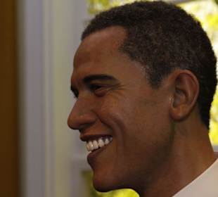 Auch aufsteigende 'Sterne' sind vorhanden