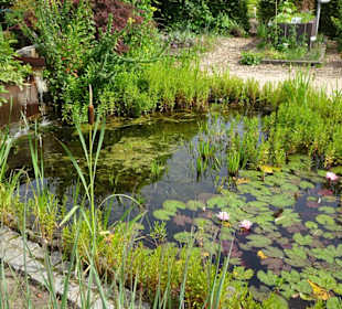 Eindrücke vom Rundgang durch den Park der Gärten