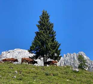 Landschaft Hochkönig