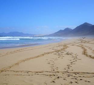 Impressionen von der Playa de Cofete