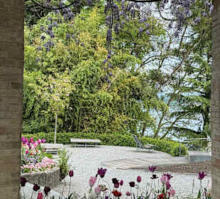 Blumeninsel Mainau