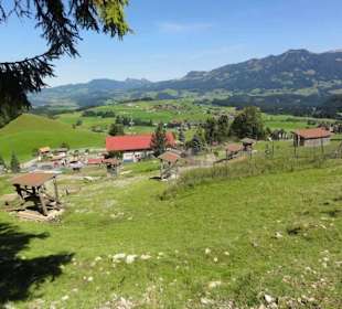 Alpenwildpark 