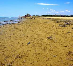 Richtung Bibione zurück