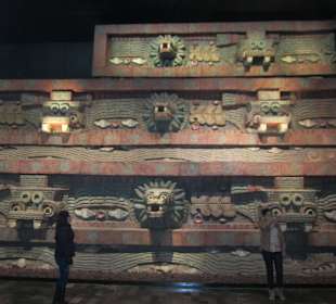 Экспонат музея