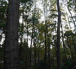 Strand Kolberg/Kolobrzeg