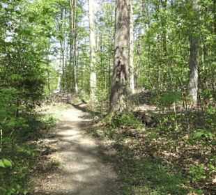 Wanderweg Hochgehwachsen