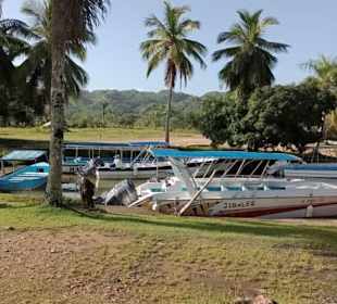 Fahrt in die Mangroven