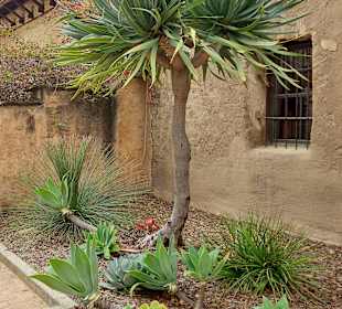 Mission San Juan Capistrano 