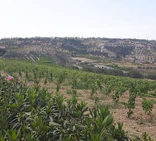 Führung Weinkellerei Boutari