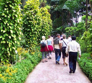 Botanischer Garten Singapore