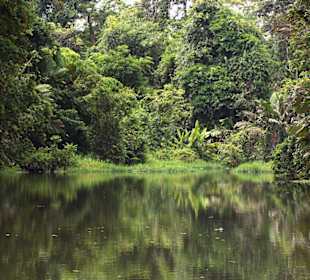 Auf dem Tortuguero- Fluß