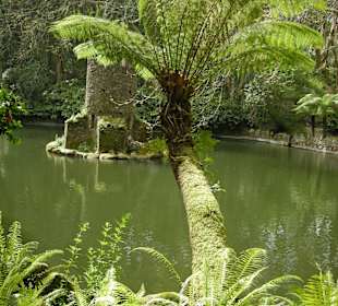Schöner Park unter dem Palacio