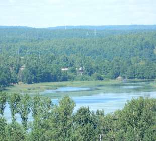 Wyborg