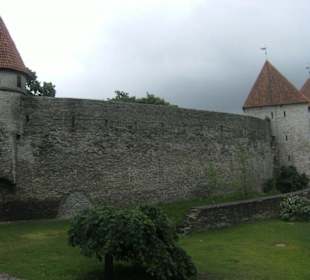 Mura