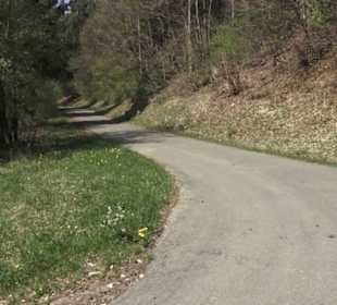 Waldlehrpfad an der Lauter