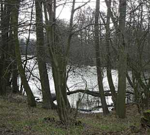 Naturschutzgebiet Boberger Niederung