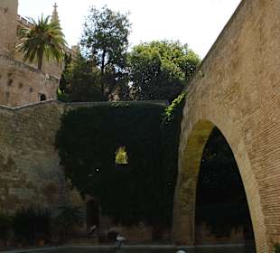 Teichbecken mit Schwäne