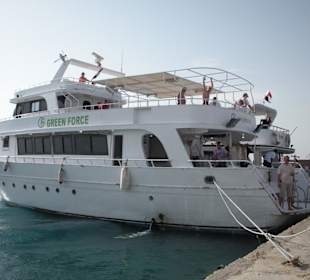 Dolphintour mit Oototo zum Zweiten