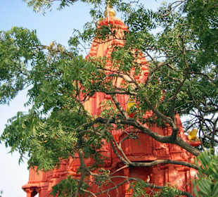 Pushkar