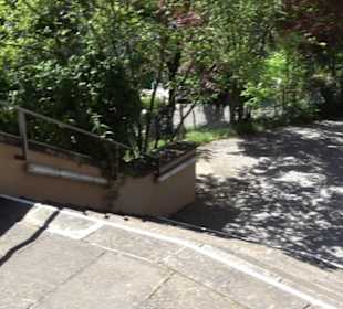 Evangelische Martinskirche