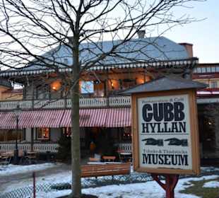 Freilichtmuseum Skansen