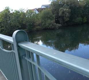 Schaukelweg an der Donau