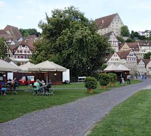 Die Altstadt von der Wiese Unterwöhrd