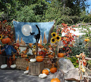 Halloween im Disneyland Anaheim Oktober 2011