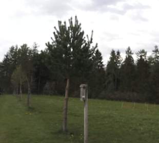 Lehrpfad Bäume des Jahres