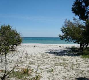 Strand Cala Ginepro