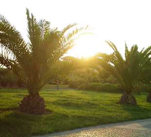 Sehr gepflegte Strandpromenade