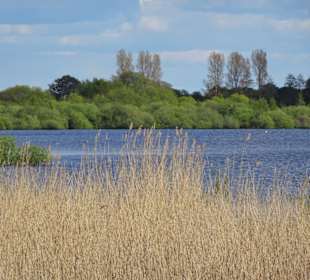 Impressionen vom Bederkesaer See