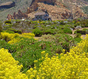 Teide
