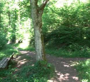 Wanderweg Sieben-Täler-Runde 