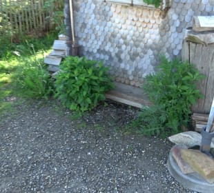 Allgäuer Honig Haus