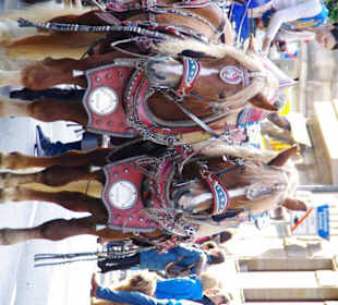 Landwehr Bräu Reichelshofen